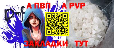 spice Кингисепп