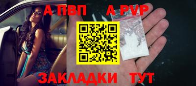 spice Кингисепп
