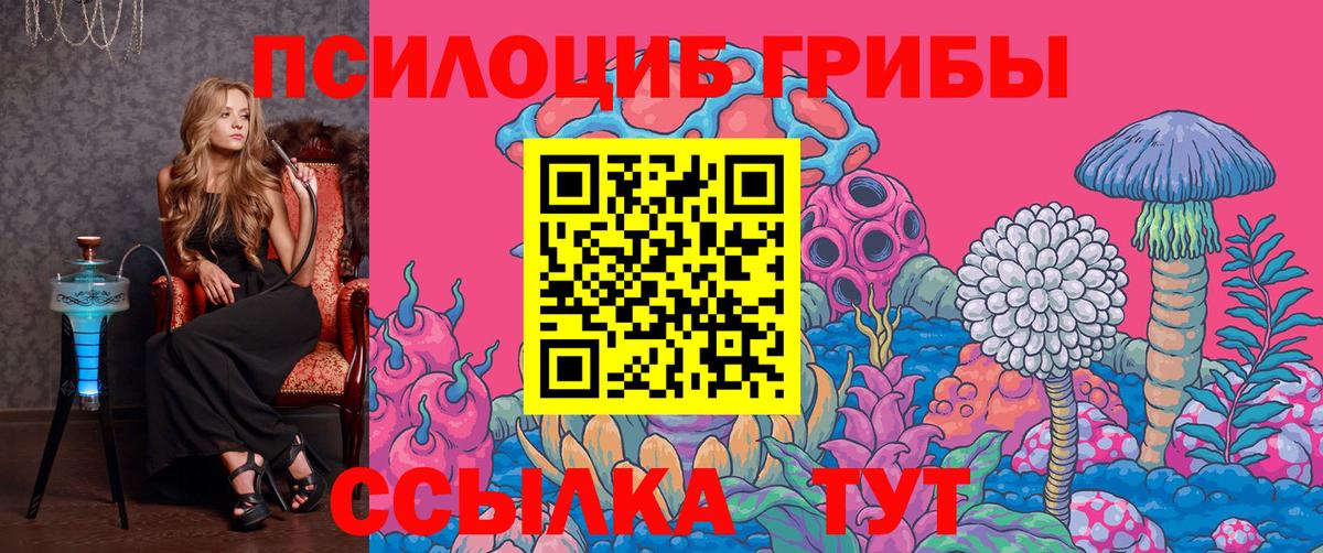 Балашов  Псилоцибиновые грибы ЛСД  закладки  Вход с VPN 
